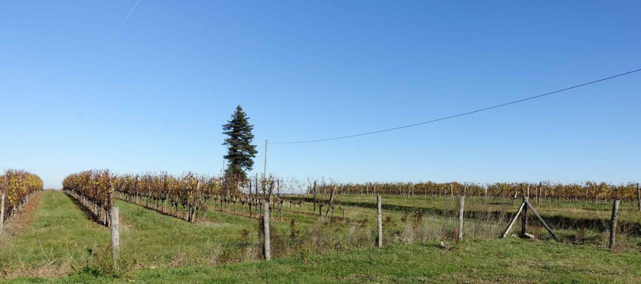 Le Clos De La Chataignere Βίλα Vérac Εξωτερικό φωτογραφία